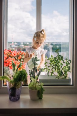 Sanatsal tırnakları olan bir el, canlı renkler ve dokular sergilenen karışık güllerin serpilmiş düzenine nazikçe dayanır..