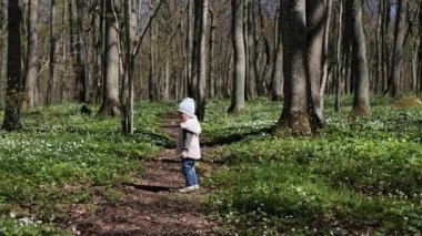 Küçük kız beyaz şakayıklarla kaplı ormanda kameraya doğru koşuyor. Mutlu çocukluk 