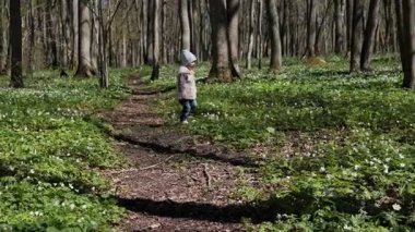 Küçük kız beyaz şakayıklarla kaplı ormanda kameraya doğru koşuyor. Mutlu çocukluk 
