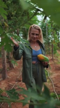 Bir insan gün boyunca uzun ağaçlar ve zengin yapraklarla çevrili canlı bir papaya çiftliğinde dolaşır..