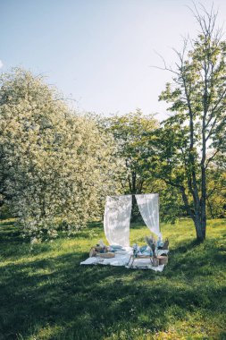 Sakin bir piknik yerinde, gündüz vakti canlı yeşil bir parkta beyaz perdeler ve çiçek aranjmanları bulunur..