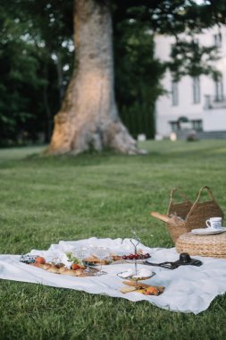 Arkadaşlar sıcak bir öğleden sonra keyifli bir piknik için toplanır, parkta yemek ve kahkaha paylaşırlar..