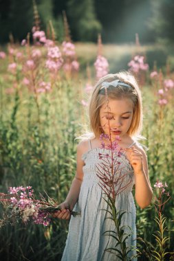 Bir çocuk çiçek açan çiçeklerle doğal bir ortamda etkileşime girer, sıcak güneş ışığında güneşlenir..
