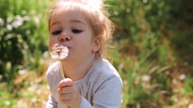 3 yaşında tatlı bir kız bahar güneşli arka planda karahindiba üflüyor.