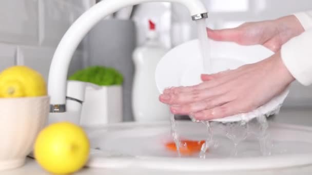 Washing Dishes Water High Quality Footage — Video Stock