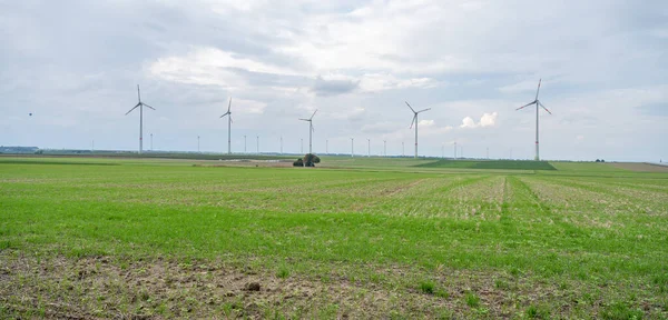 Wind park with several modern renewable energy wind turbines, agricultural field in the front, cloudy day, landscape
