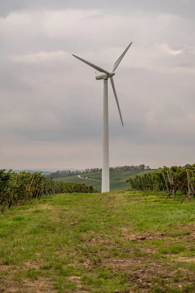 Modern wind turbine on a vineyard with vine plants next to it during cloudy day, vertical shot