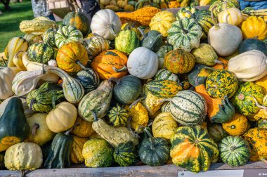 Different ornamental gourds pumpkins with yellow orange and green color lying on a wooden table for sale at a farm in october