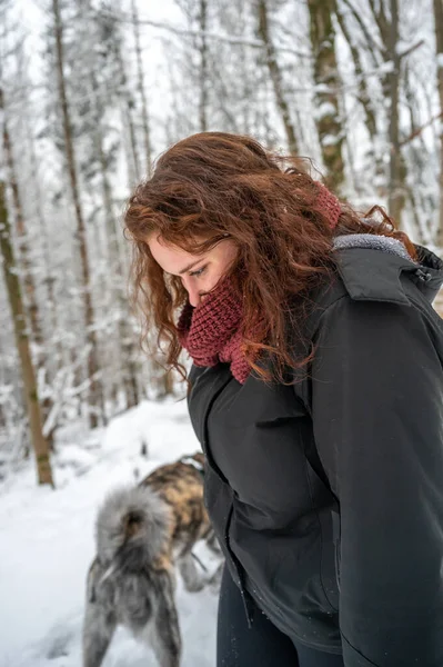 Young woman with brown curly hair is putting her nose in her jacket because of the cold temperature, walks her gray colored akita inu dog in the forest during winter with snow, view from the side
