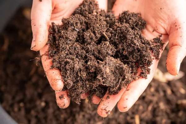 Close-up woman holding natural bio plant soil in her two hands, pot with soil in the background, gardening