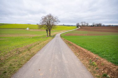 Agricultural path between multiple agricultural fields landscape during cloudy day