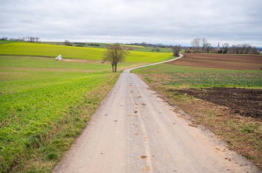 Agricultural path between multiple agricultural fields, stacked straw bale in the distance, cloudy day landscape