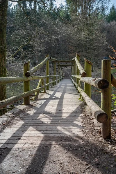 Wooden bridge in the woods in a public park, vertical shot