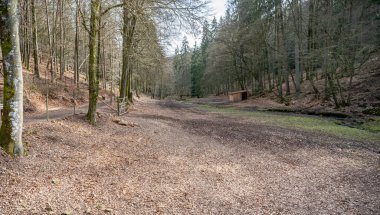 Wildlife Park Brudergrund Landscape without animals during spring, Erbach, Germany