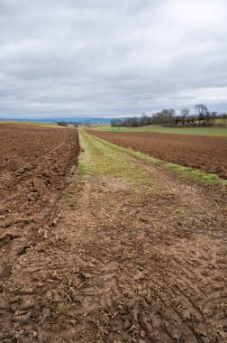 meadow dividing two agricultural fields with soil, agricultural path, vertical shot during cloudy day