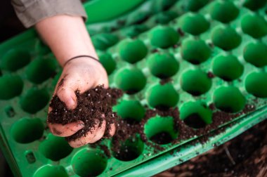 Close-up woman is putting soil in a green cultivation form to plant new seeds