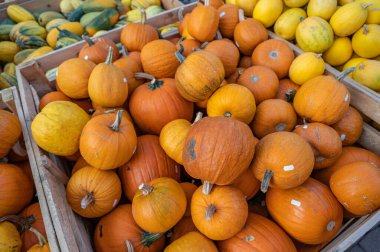 Small orange pumpkins in a wooden box at a farm for sale with price tag on it during harvest season in October, high angle view