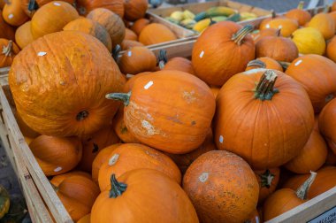 Large orange pumpkins in a wooden box at a farm for sale with price tag on it during harvest season in October, high angle view