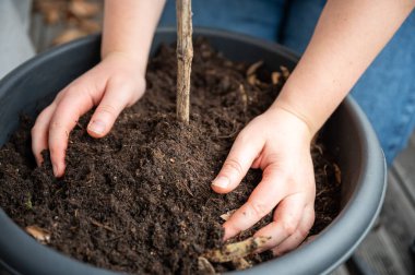 Bir kadın, balkondaki bir saksının içindeki bitki toprağına dokunuyor. Görünür bir yüzü yok.