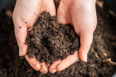 İki elinde biyolojik bitki toprağı tutan kadınlar balkondaki bir saksının tepesinde, yüksek açılı manzaralı.