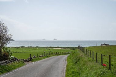 Kirkwall 'ın deniz manzarası, petrol platformu, çayır ve koyun önde, mükemmel bir arka plan, İskoçya