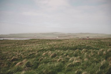 İskoçya, Orkney Adası, Skaill House yakınlarındaki çayır, küçük tepeler ve evlerle manzara