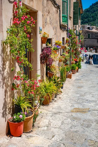 Valldemossa 'daki güzel dekore edilmiş bina, Mayorka. Önünde çiçekler ve saksılar, dikey çekim, Mallorca.