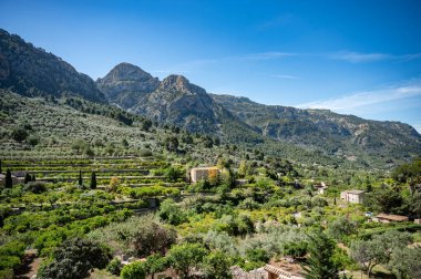 Serra de Tramuntana sıradağları, bir sürü ağaç ve bazı evler, Mayorka Fornalutx, Mallorca yakınlarında.