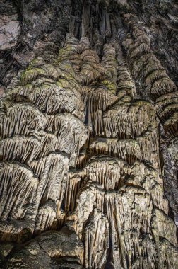 Arta Mağarası 'ndaki sarkıt duvar, Mallorca, yüksek duvar, bir sürü sarkıt kaya oluşumu, Mayorka İspanya