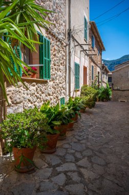 Valldemossa 'da güzel bir cadde, Mayorka' da saksı bitkileri, mallorka, dikey çekim
