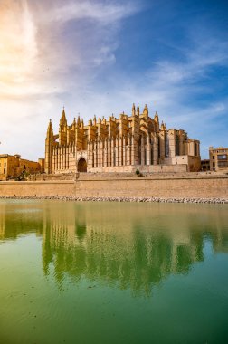 Palma, La Seu 'daki Santa Maria Katedrali' nin önünde göl ve yansıma, güneş ışığı, dikey çekim, Palma de Mallorca, İspanya