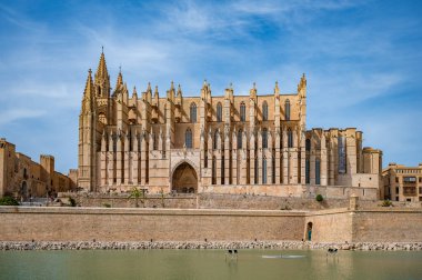 La seu tarihi Katedrali Mallorca, önünde göl olan yan manzara, palma de mallorca