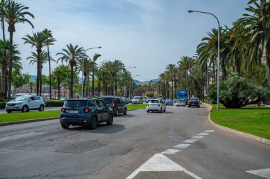 Palma de Mallorca 'nın ana caddesinde trafik ve turist kiralama araçları, palmiye ağacı bulvarı, yatay çekim, mayorka.