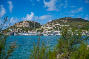 Andratx Limanı, Mallorca. Bir sürü yatı ve arka planında emlak olan bir dağı var. Önünde bitkiler, Mayorka.