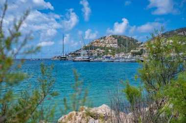 Andratx Limanı, Mallorca. Bir sürü yatı ve arka planında emlak olan bir dağı var. Önünde bitkiler, Mayorka.