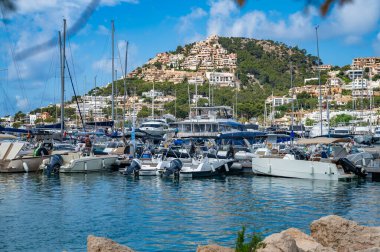 Andratx Limanı, Mallorca. Bir sürü yatı ve arka planda emlakları olan bir dağ. Önünde bir ağacın dalları, Mayorka.