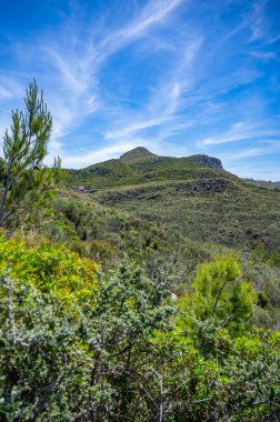 Serra de Tramuntana dağ manzarası, Mallorca, harika hava, Mayorka, dikey çekim sırasında bir sürü bitki