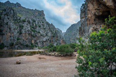 Sa Calobra Dağı manzarası, bulutlu havada Mallorca, önde bitkiler, arkada dağ zirvesi, Mayorka