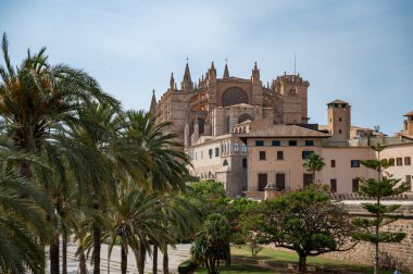 Palma, La Seu 'daki Santa Maria Katedrali, önündeki palmiye ağaçları, katedralin arka tarafı, Palma de Mallorca, İspanya