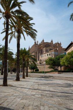 Palma Santa Maria Katedrali, La Seu alçak açılı, palmiye ağaçları, katedralin arka tarafı, dikey çekim, Palma de Mallorca, İspanya
