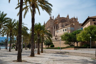 Palma Santa Maria Katedrali, La Seu alçak açılı, palmiye ağaçları, katedralin arka tarafı, dikey çekim, Palma de Mallorca, İspanya