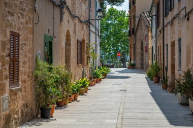 Mallorca İspanya 'da, Alcudia' da dar bir sokakta, evlerin önünde saksı bitkileri.