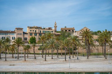 Palma de Mallorca 'nın Skyline' ı Santa Clara Kilisesi Kulesi ve önünde palmiye ağaçları olan Park, Mayorka İspanya