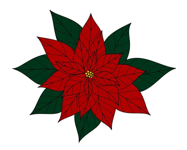 Poinsettia Virág Szimboloc Karácsonyi Idő Grafikai Tervezés Fehér Háttér — Stock Fotó