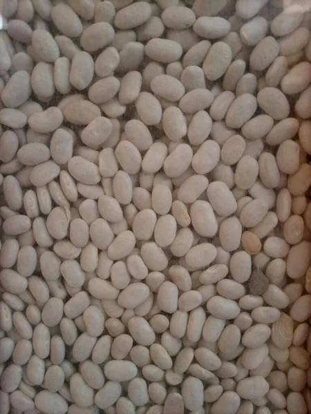 close up of a pile of white beans