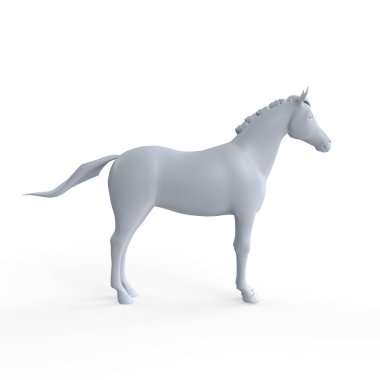 white horse isolated on a black background