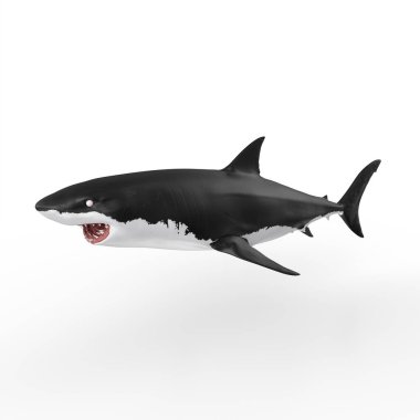 Bir köpekbalığının 3D görüntüsü