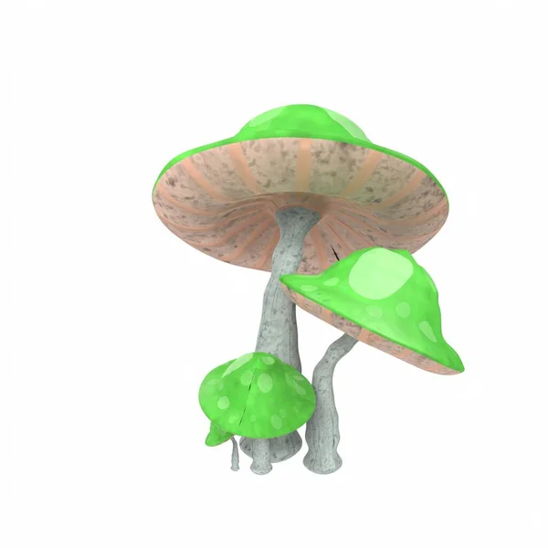 mushroom, fungus, mushrooms, illustration, vector on white background.