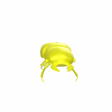 yellow frog isolated on white background