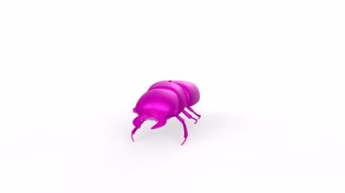 purple insect on the table